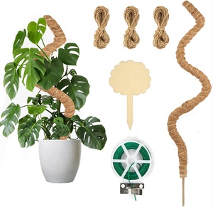 Poteau en fibre de coco écologique et pliable, design minimaliste pour le soutien des plantes <span class=keywords><strong>Monstera</strong></span>, utilisation intérieure/extérieure, jardin domestique - Product Image 2