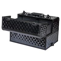 Étui de Train roulant en aluminium pour artistes maquilleurs-valise de chariot-chat noir curieux