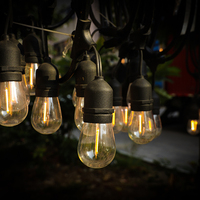 Éclairage de vacances étanche populaire 2200K 28ft IP65 S14 ampoules en plastique simples solaire extérieur noël lumière résistante aux bris