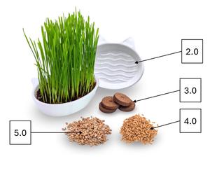 Grosir mangkuk anjing ditinggikan bermatte kustom mangkuk hewan peliharaan keramik antiselip dengan dudukan kayu - Product Image 1