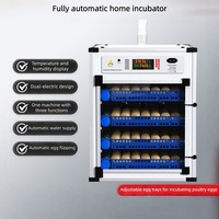Machine d'incubation automatique d'œufs de poulet en ligne, incubateurs industriels d'œufs pour élevages avicoles