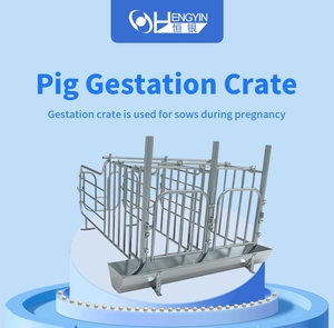 HengYin HY-AFS Jaula de Gestación Nueva al por Mayor con Diseño de Puerta Trasera para Granjas de Cerdos, Material Galvanizado en Caliente, Larga Vida Útil - Product Image 3