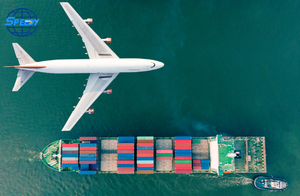 Servizi di Trasporto Merci Globali, Agente di Spedizione a 2 Canali Cina-Germania-USA, Trasporto Porta a Porta DDP Express Veloce e Competitivo - Product Image 2