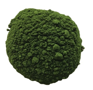 Meilleure vente 1KG de la paroi cellulaire cassée du fabricant noyau de protéine pyrénoïde poudre de chlorella poudre d'algue verte - Product Image 1