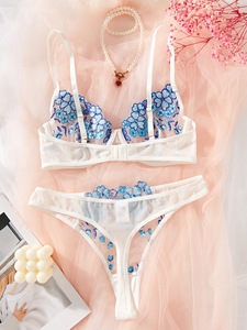 Nouvelle lingerie sexy pour femmes, très vendue, broderie florale, ensemble de lingerie deux pièces, vêtements pour femmes - Product Image 2