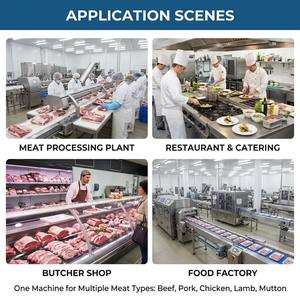Máquina Ablandadora <span class=keywords><strong>de</strong></span> Carne Eléctrica Automática <span class=keywords><strong>de</strong></span> Acero Inoxidable 304 con Certificación CE, para Uso Comercial en Restaurantes y Carnicerías - Product Image 5