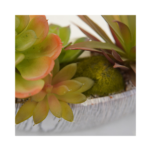 Tavola di decorazione Bonsai Premium con plastica succulenta Aloe misto <span class=keywords><strong>piante</strong></span> verdi artificiali succulente e <span class=keywords><strong>piante</strong></span> di Aloe - Product Image 5