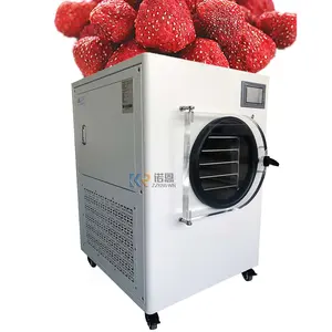 2024 Venta caliente pequeña máquina secadora de congelador de alimentos de frutas al vacío uso doméstico secador de congelador de verduras con bomba para la venta