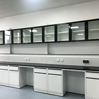 Banc de travail latéral en acier pour laboratoire de bioscience, résistant aux produits chimiques, avec une longue durée de vie
