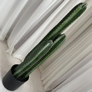 <span class=keywords><strong>Cactus</strong></span> Artificial para decoración interior y exterior, venta directa de fábrica - Product Image 2