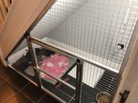 Boîte de mise bas pour animaux en métal de 32" x 32" x 24" avec cadre en acier inoxydable, taille et couleur personnalisables