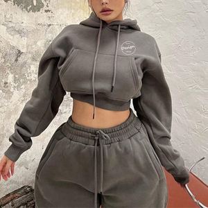 Venta al por mayor de algodón polar bordado pesado chándal 2 piezas bordado liso chándal Unisex conjunto de dos piezas para las mujeres - Product Image 4