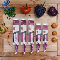 Ensemble de couteaux de cuisine en acier inoxydable de 5 pièces avec revêtement antiadhésif et poignée antidérapante, design imprimé floral, couleur personnalisée, sans danger pour les aliments