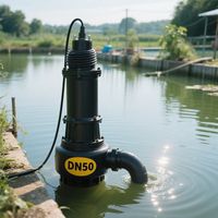 Pompe à eaux usées électrique en fonte durable, faible coût d'entretien pour une longue durée de vie et moins de temps d'arrêt