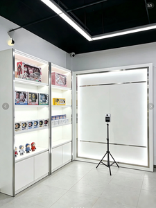 Exhibidor de Productos Ecológico Personalizado con Iluminación LED para Tiendas de Juguetes B2B, Diseño y Instalación Llave en Mano, Diseño Modular - Product Image 6