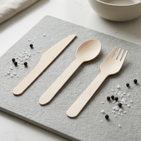 Couteaux et fourchettes jetables écologiques biodégradables, ustensiles en bois emballés individuellement pour les plats à emporter