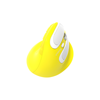 Mouse nirkabel OEM, cetakan pribadi OEM ergonomis dapat diisi ulang vertikal 2.4Ghz + BT lampu latar RGB untuk PC Laptop rumah kantor
