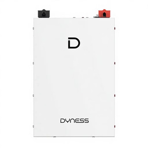 แบตเตอรี่เก็บพลังงานสำหรับบ้าน Dyness ขนาด5kWh แรงดันไฟฟ้า51.2V ความจุ100Ah เทคโนโลยี LiFePO4พร้อมระบบ BMS และ Wi‑Fi อายุการใช้งาน8,000รอบพลังงานแสงอาทิตย์สำหรับระบบอินเวอร์เตอร์แบบไฮบริด - Product Image 2