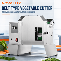 Coupe-légumes multifonctionnel Commercial Electric 200W, tension universelle, en acier inoxydable, trancheuse artisanale, râpe à pommes de terre