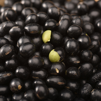 Vente en gros de graines de soja noires non-OGM, haricots noirs à germe jaune pour le tofu et le lait de soja