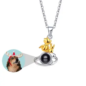Dropshipping Jewelry S925 Silver B-612 Little Prince Fox Couple Necklace Custom Photo Pendant Personality Projection Necklace