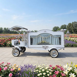Vente en gros usine : Cercueil électrique de luxe argenté, Remorque cercueil, Véhicule funéraire pour services funéraires - Product Image 1
