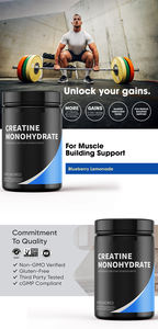 Vente en gros de poudre de monohydrate de créatine Supplément de musculation OEM de marque privée pour adultes récupération d'entraînement croissance musculaire - Product Image 2