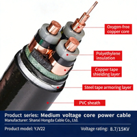 Cable de Alimentación de Media Tensión IEC 60502-2 8.7/15kV, Cable Subterráneo de Cobre Armado CU/XLPE/STA/PVC de 11kV para Proyectos de Subestaciones y Redes