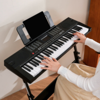 BD-616D Piano Digital Portátil de 61 Teclas Iluminadas, Órgano Eléctrico, Teclado Electrónico, Instrumentos Musicales de Plástico
