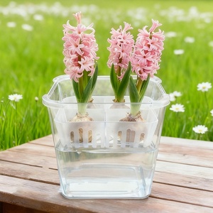 Pots <span class=keywords><strong>de</strong></span> culture hydroponique à 4 trous avec design en forme <span class=keywords><strong>de</strong></span> <span class=keywords><strong>bulbe</strong></span> pour plantes succulentes d'intérieur, orchidées, contenants décoratifs pour la culture aquatique - Product Image 3