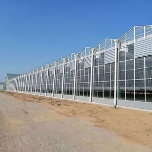 Invernadero agrícola de vidrio grande tipo Skyplant Venlo, ecológico para exposiciones de cría de semillas, restaurantes, vidrio de casa <span class=keywords><strong>verde</strong></span> - Product Image 1