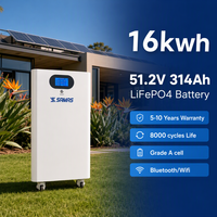 Armoire de batterie verticale modulaire OEM 16 kWh 51,2 V 314 Ah avec surveillance CAN/WiFi pour système ESS solaire hybride pour villas et grandes maisons