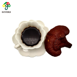 Chinese Traditional Herb Products Organic <strong>Ganoderma</strong> <strong>Spore</strong> <strong>Powder</strong> , Lingzhi , <strong>Lucidum</strong> <strong>Spore</strong> - Product Image 3