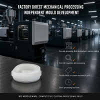 Engrenage à came en plastique sur mesure, usinage mécanique, OEM ODM, moulage par injection non standard, faible friction, résistant à l'usure, ISO9001
