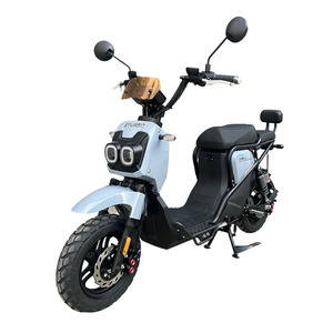 Motocyclettes électriques à deux roues de 1000 W haute puissance avec phares LED, vitesse maximale de 40 à 60 km/h, cadre en fer, batterie amovible, utilisation en ville - Product Image 1