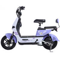 Fabricant chinois de batteries au plomb-acide 350W 48V pour vélos électriques et motos électriques, fourniture en gros aux distributeurs