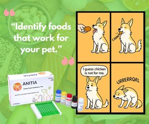 Kit de Prueba Veterinaria IgG para Alimentos - Detección Cuantitativa de Alergias y Intolerancias Alimentarias en Caninos/Felines, Prueba de Sensibilidad a Alimentos para Mascotas - Product Image 1
