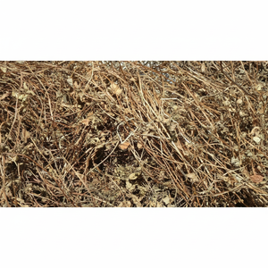 ใบเจลลี่หญ้าดำตากแห้งวัตถุดิบส่งตรงจากเวียดนาม - Product Image 1