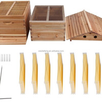 Colmenas de flujo automático para abejas, dispositivo de flujo de miel automático para colmenas, juego completo de herramientas nuevas para apicultura