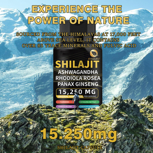 OEM shilajit cápsula resina Himalaya shilajit 85 minerales cerebro apoyo mejorar la fuerza masculina shilajit cápsulas de extracto de resina - Product Image 3