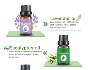 Aceite de árbol de té/menta/<span class=keywords><strong>eucalipto</strong></span> natural al por mayor aceite esencial de masaje a granel fragancia de perfume <span class=keywords><strong>esencia</strong></span> original - Product Image 5