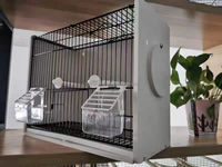 Nouvelle conception de cages d'élevage d'oiseaux simples, 36*17.3*31cm, cage de luxe pour perroquets et canaris, avec plateau et boîte en plastique