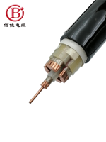 Cable de Alimentación Industrial Personalizado de Bajo Voltaje WDZAN-YJY-4*70+1*35 con Núcleo de Cobre XLPE, Bajo Humo, Libre de Halógenos, Retardante de Llama