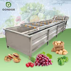 Machine de lavage et de séchage à bulles pour légumes (chou, jujube, fruit du dragon) et aliments secs - Product Image 1