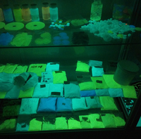 Poudre fluorescente pour vernis à ongles bracelet en silicium, colorée, haute luminosité, brillent dans la nuit, ml, vente en gros