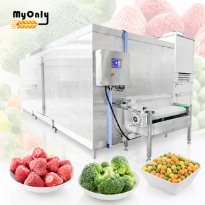 Congélateur tunnel industriel MY de 3 tonnes pour framboises IQF en acier inoxydable - Product Image 1