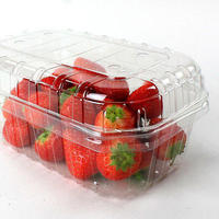 Food Grade Huisdier Wegwerp Plastic Clear Fruit Clamshell Box Container Verpakking Met Gaten