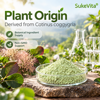 Poudre de Fisetine 98% CAS 528-48-3 Extrait Végétal Flavonoïde Senolytique Qualité Alimentaire Complément Matière Première Cosmétique en Vrac