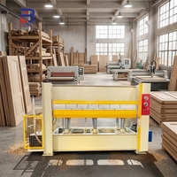 Presse à chaud pour panneaux de porte 120T, utilisation facile, 2500 x 1300 mm, 380 V, 36 kW