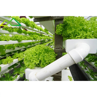 Serre hydroponique automatique solaire commerciale pour l'intérieur, avec structure en acier galvanisé à chaud et système hydroponique NFT